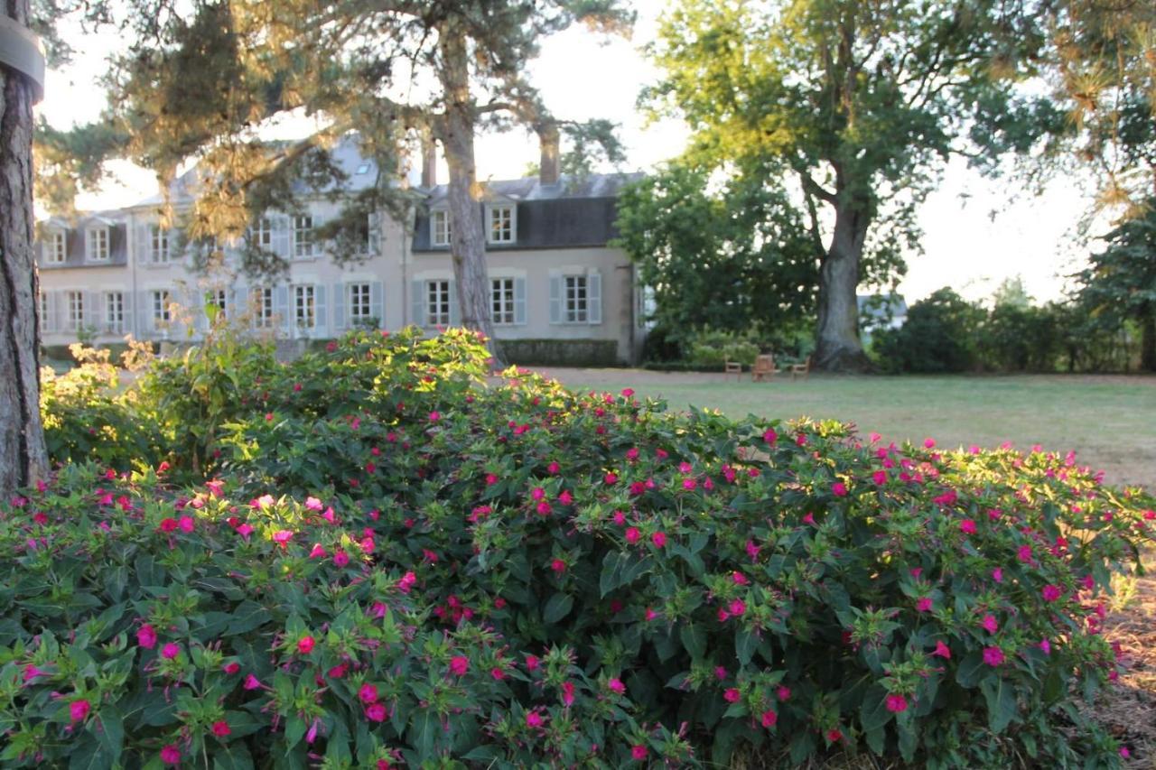 Colivault Bed and Breakfast Candé-sur-Beuvron Εξωτερικό φωτογραφία